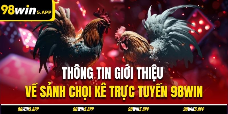 Thông tin giới thiệu về sảnh chọi kê trực tuyến 98Win